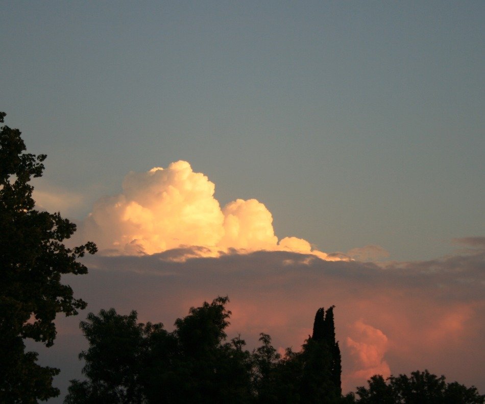 peach clouds over the forest