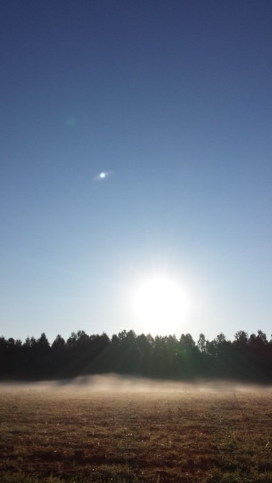 Sunrise over the forest