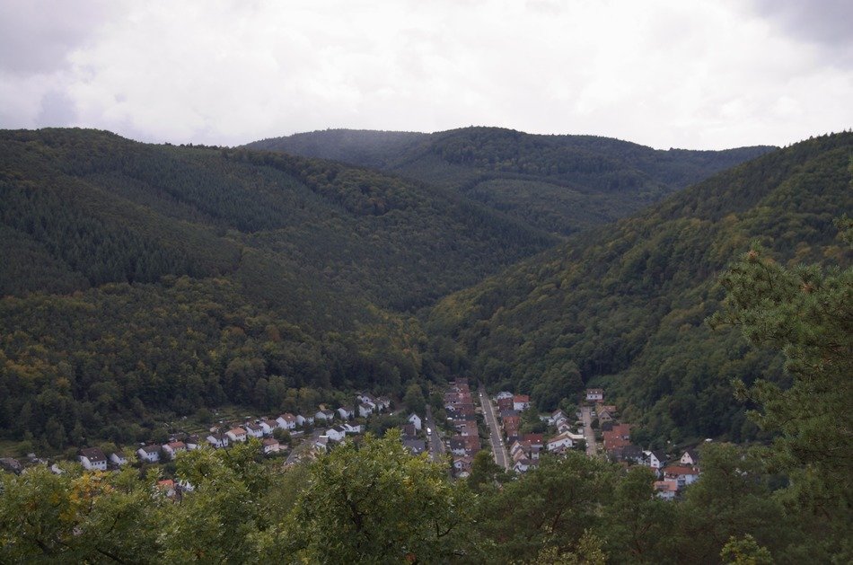 panorama of the village in the valley in the palatinate forest