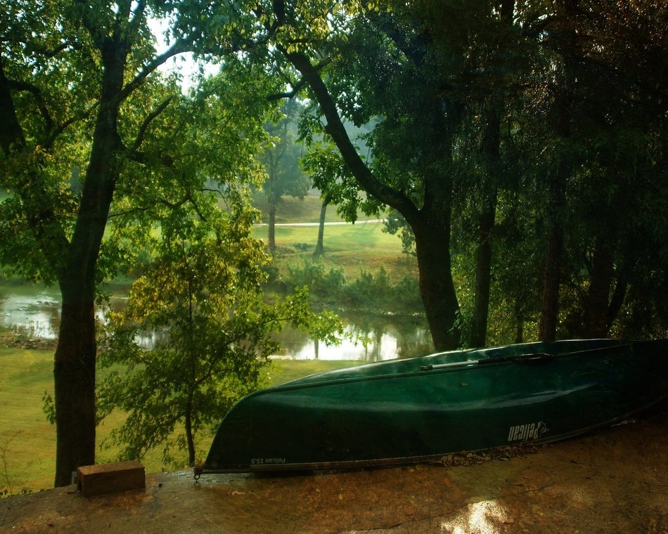 green canoe among the trees near the river