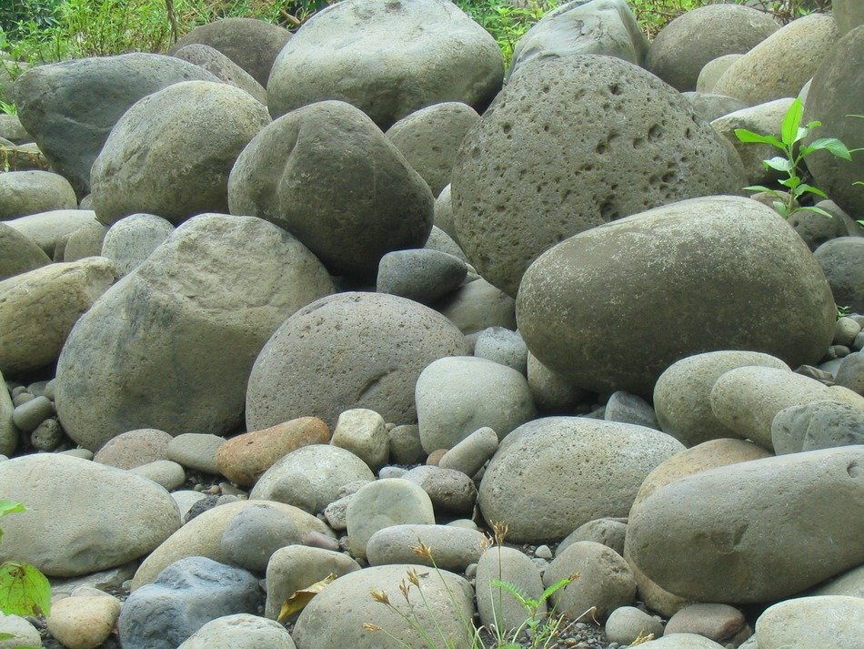Colorful boulders among the plants near the river