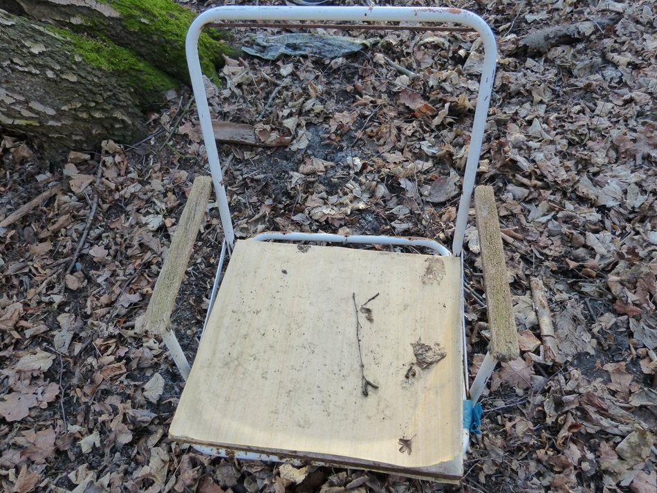forgotten chair among dry foliage