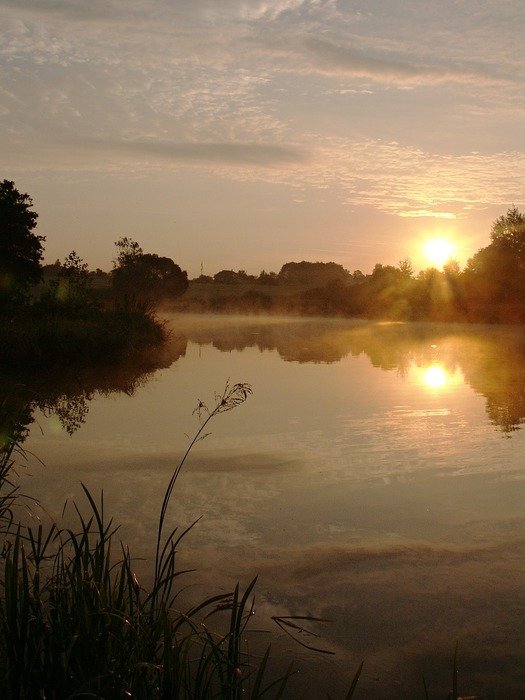 dawn over the pond in Ledenice