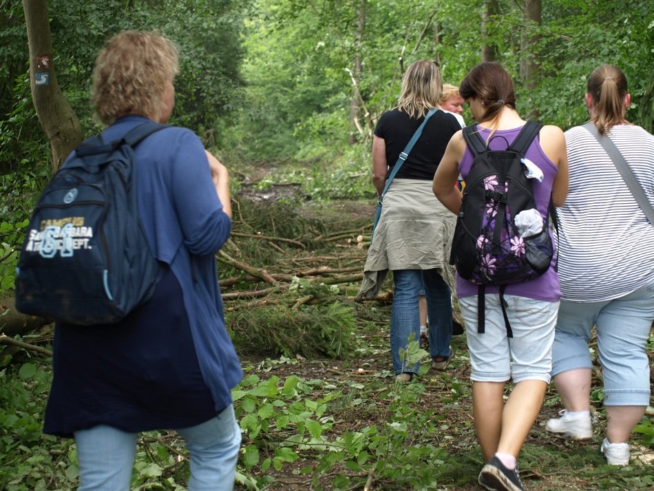 a group of people are walking along a forest path