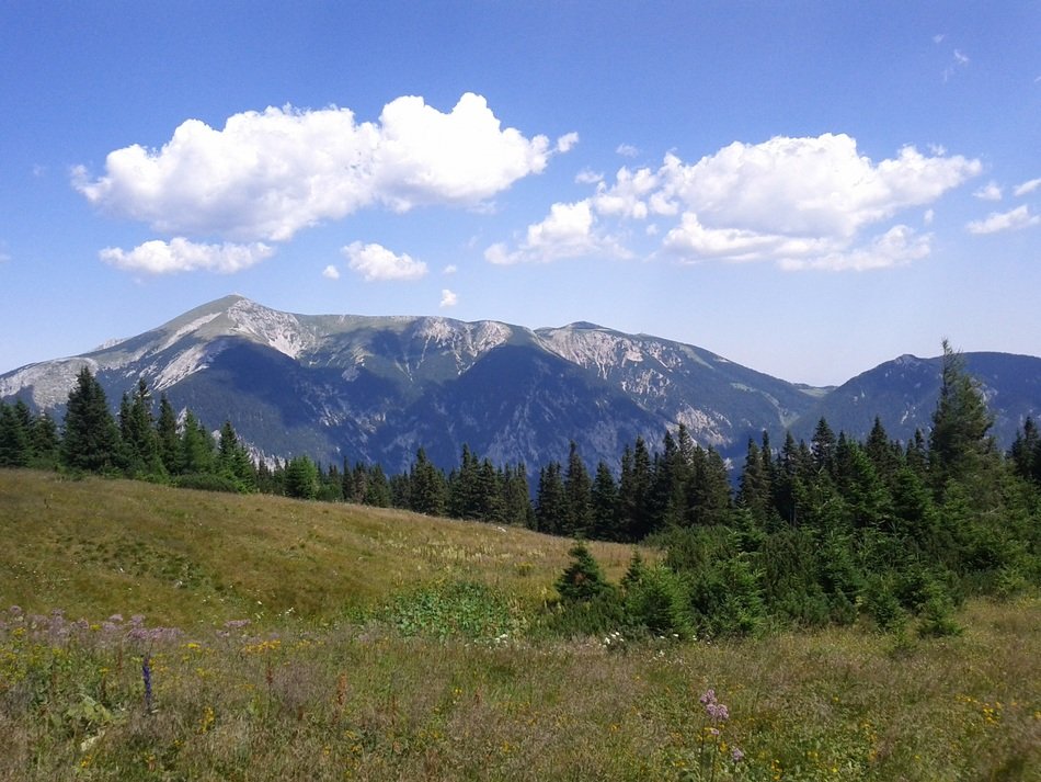 stunning schneeberg group