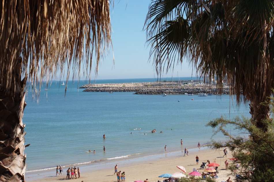 people on the beach behind the trees