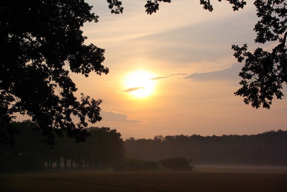 sun in the foggy morning