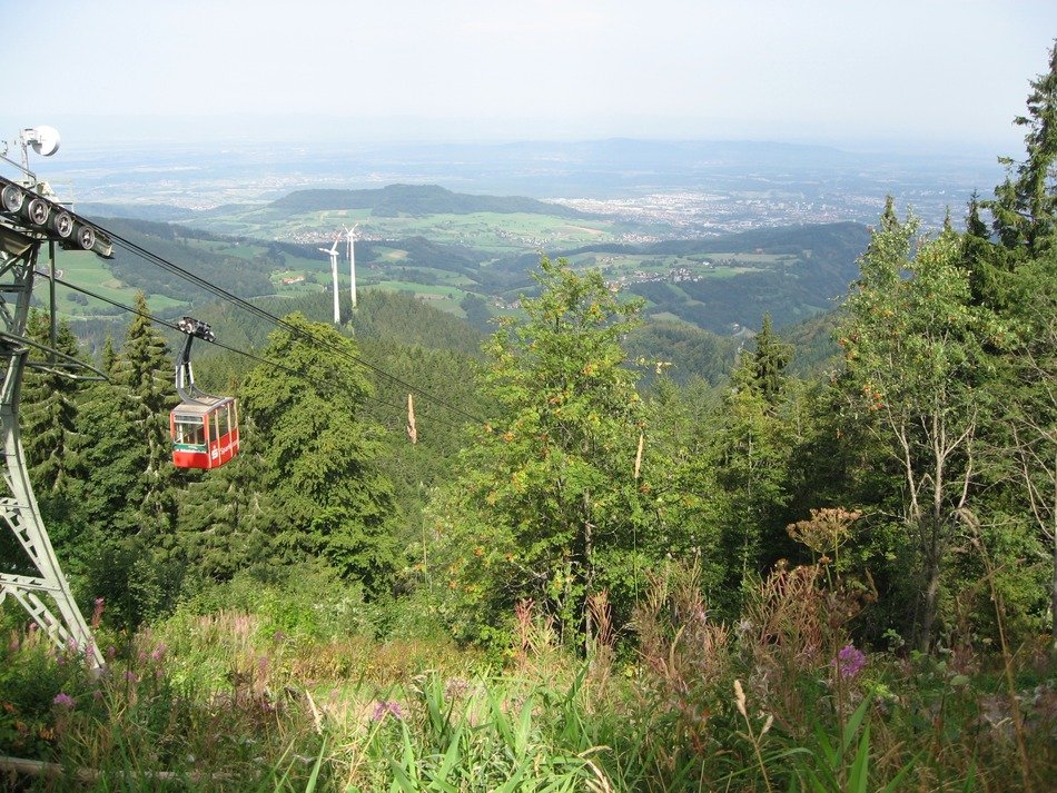 public transport in the mountain forest