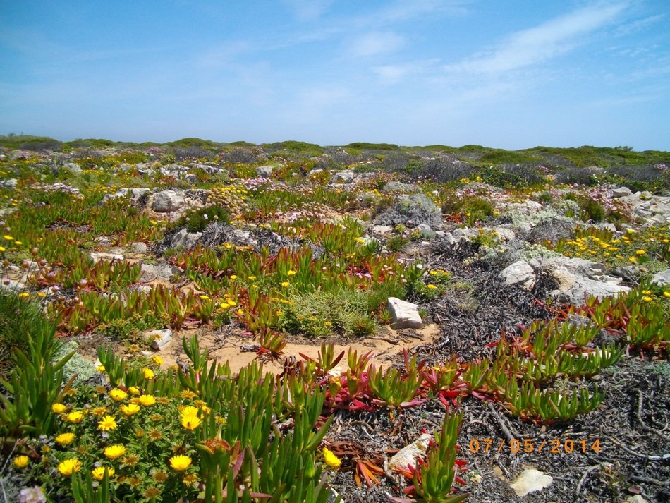 Beautiful Agarve in Portugal