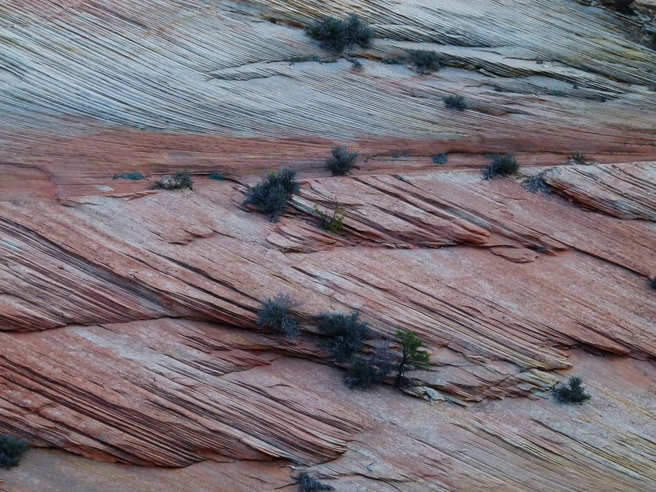 cliffs in Zion National Park