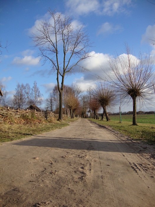 Landscape of nature in Sierpc