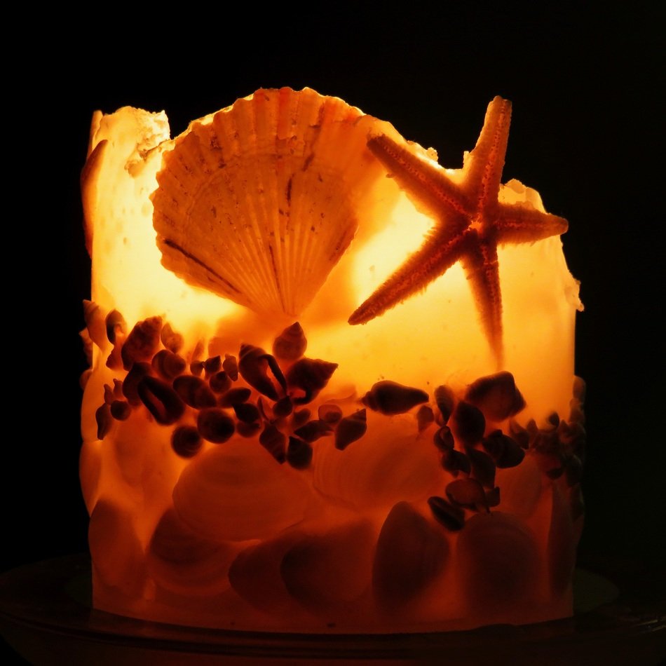 Shells and candlelight