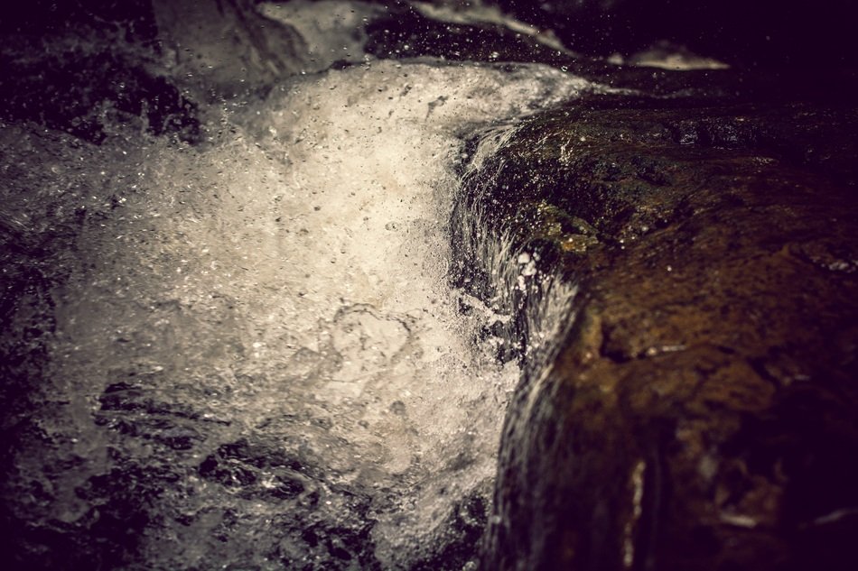 macro picture of spring white flow in stones mountains