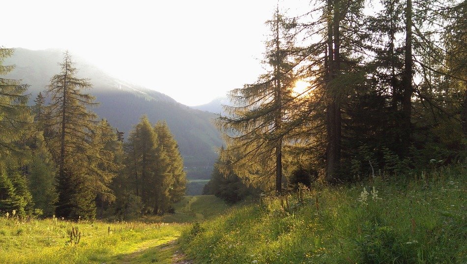 panorama of the austrian valley in the sunlight