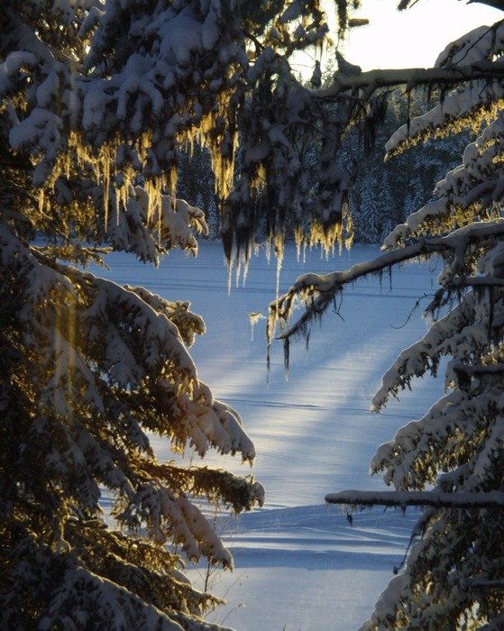 winter sun beam