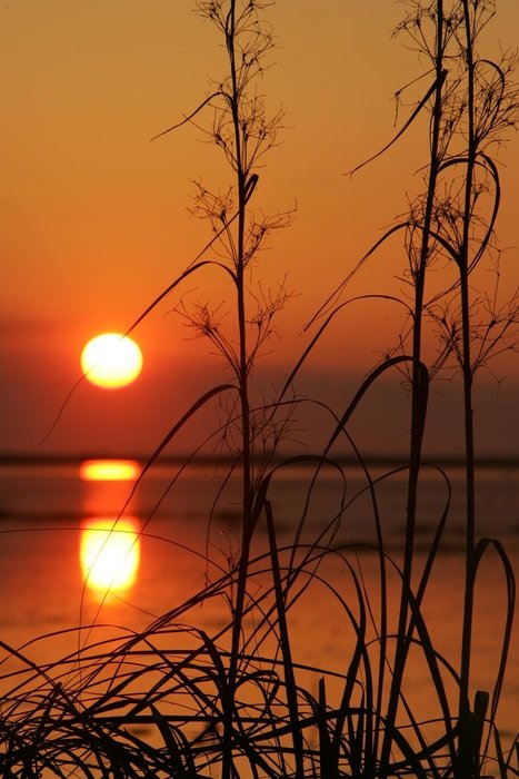 Photo of the sunset over the water