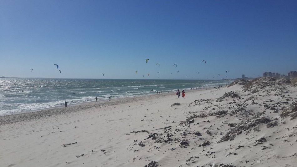 kites on the ocean coast