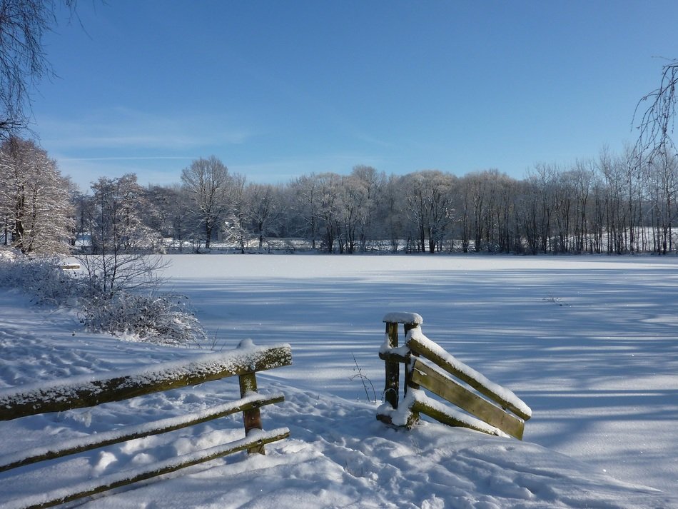 wooden fence at a frozen pond