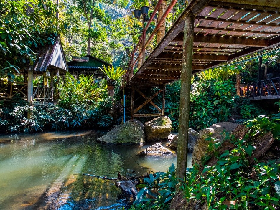 wooden bridge in the garden in thailand