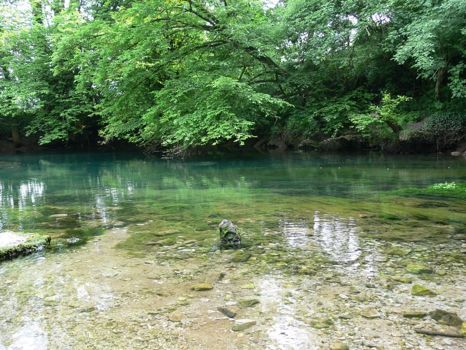 clear water on a background of green trees