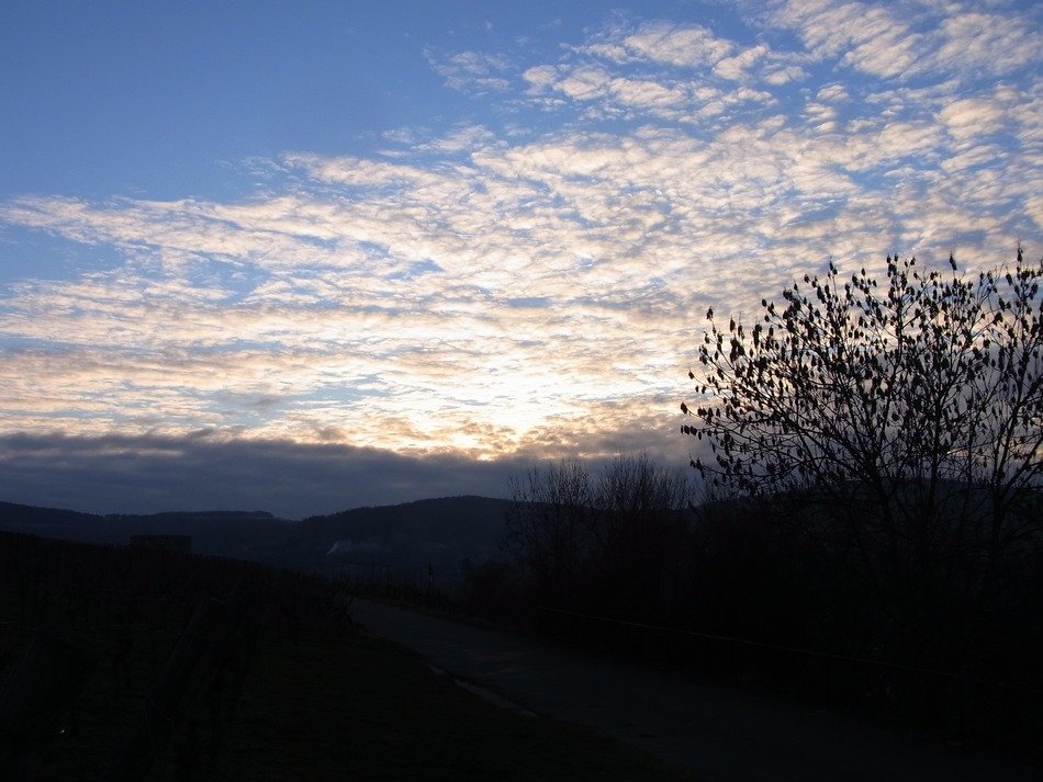 landscape of weather twilight in nature