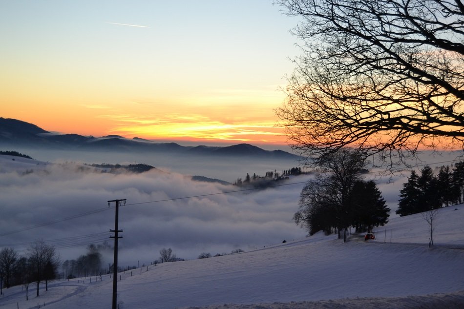 panorama of rhine valley in winter