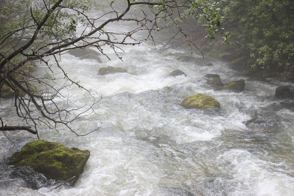 Haze on a beautiful water with stones among the green trees