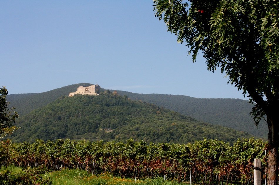 Hambach castle in the Palatinate