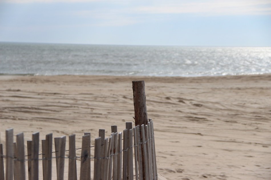 wooden fence on a sandy beach