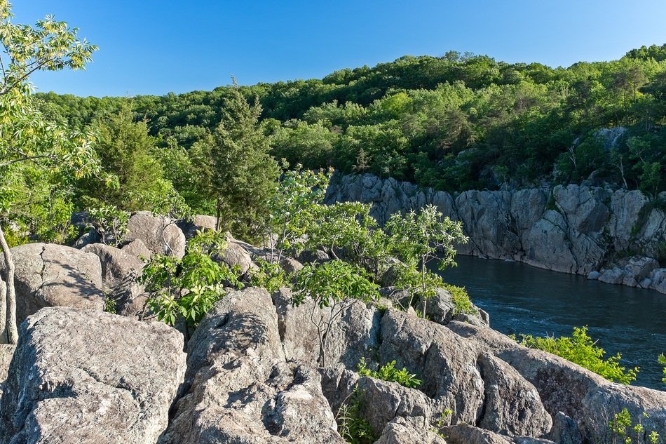 goat trail near the river