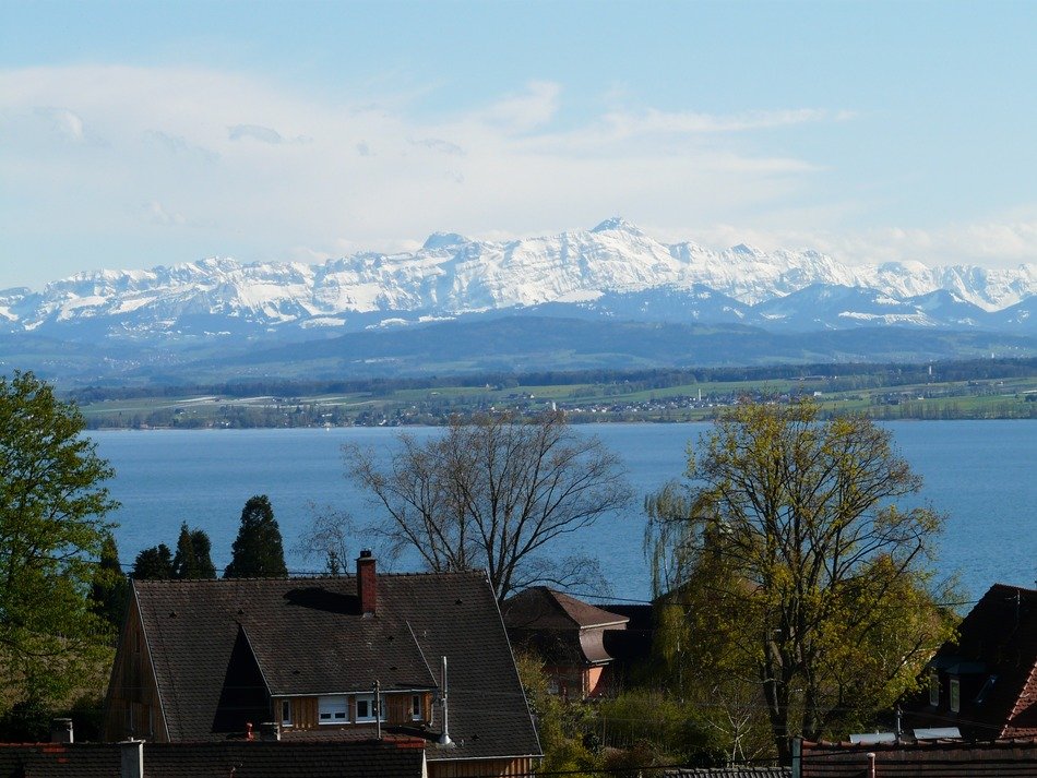 view of Lake Constance in the background of snow-covered Alps