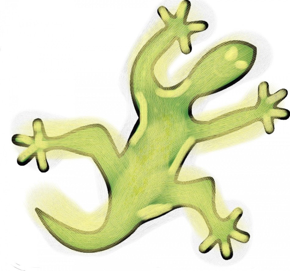 green lizard on white sheet