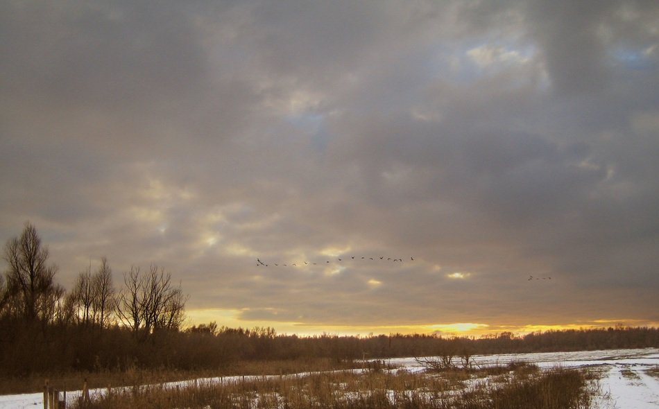 landscape of nature wakes up after winter