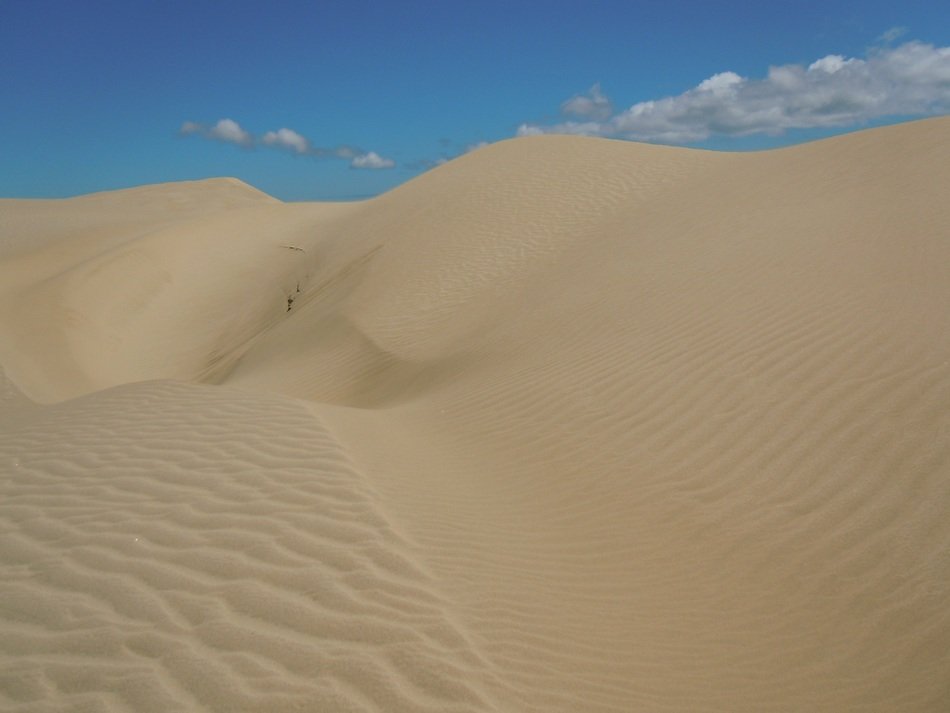 stunning landscape of sand dunes desert