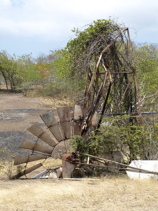 rusty windmill