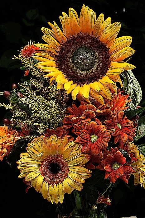 flower of sun