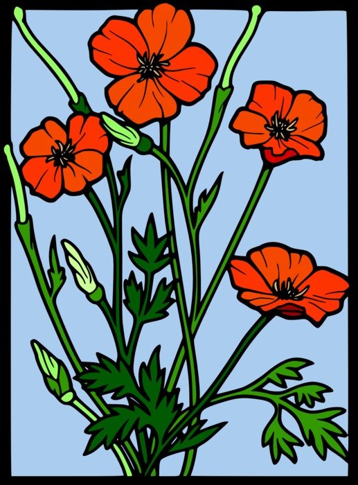 Decorative poppy flowers