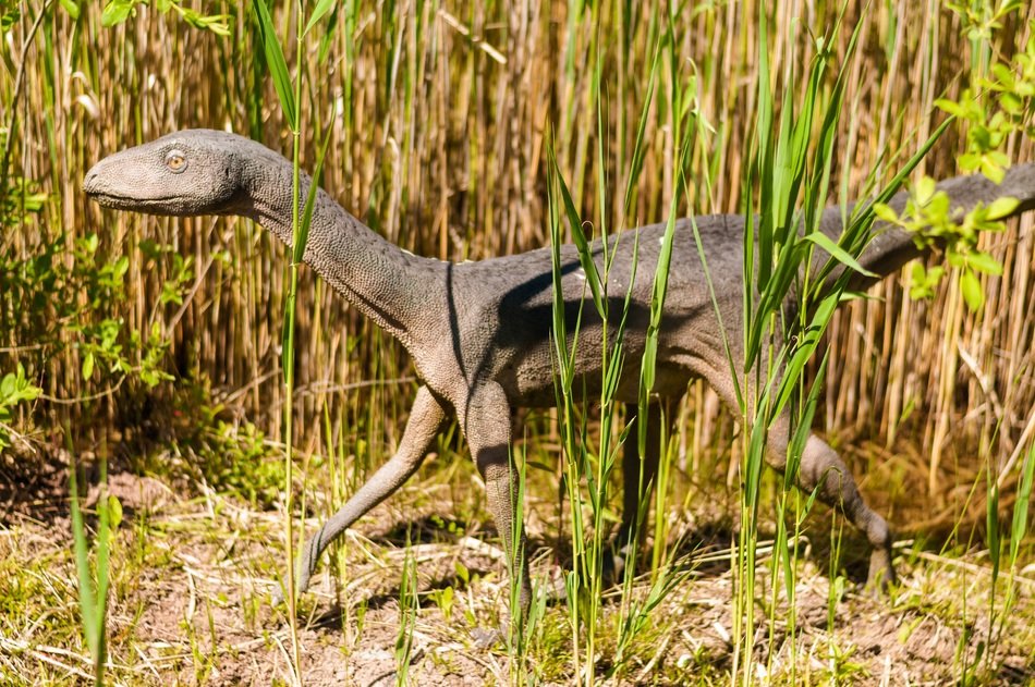 dinosaur among the grass