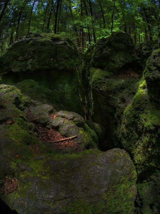 large stones in the woods in the moss