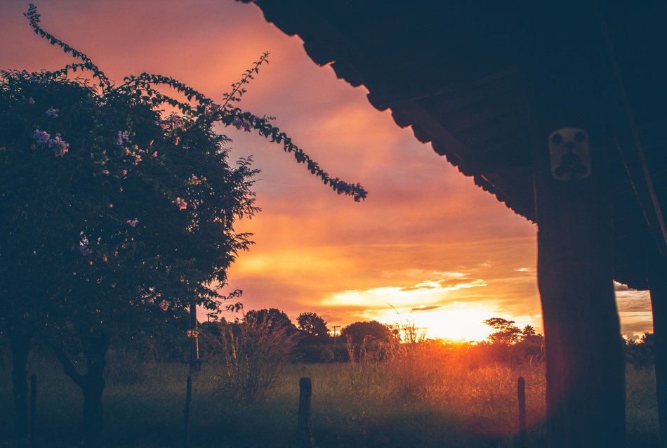 sunset don the field in countryside