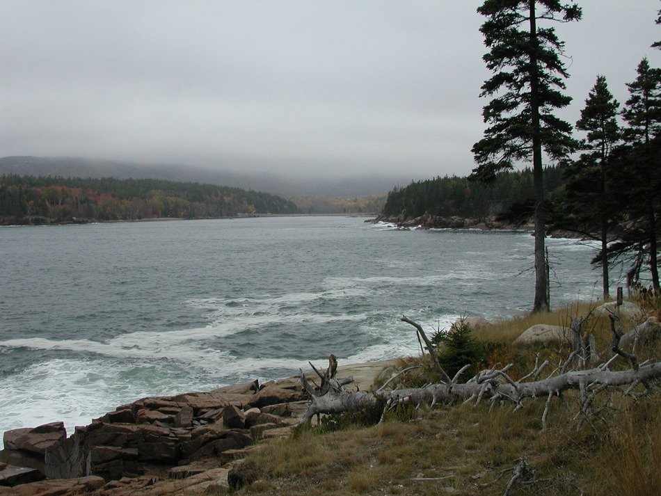 landscape of wild coast at cloudy day, usa, maine, acadia national park