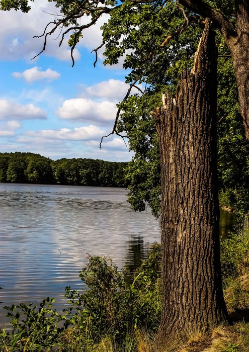 strain pond