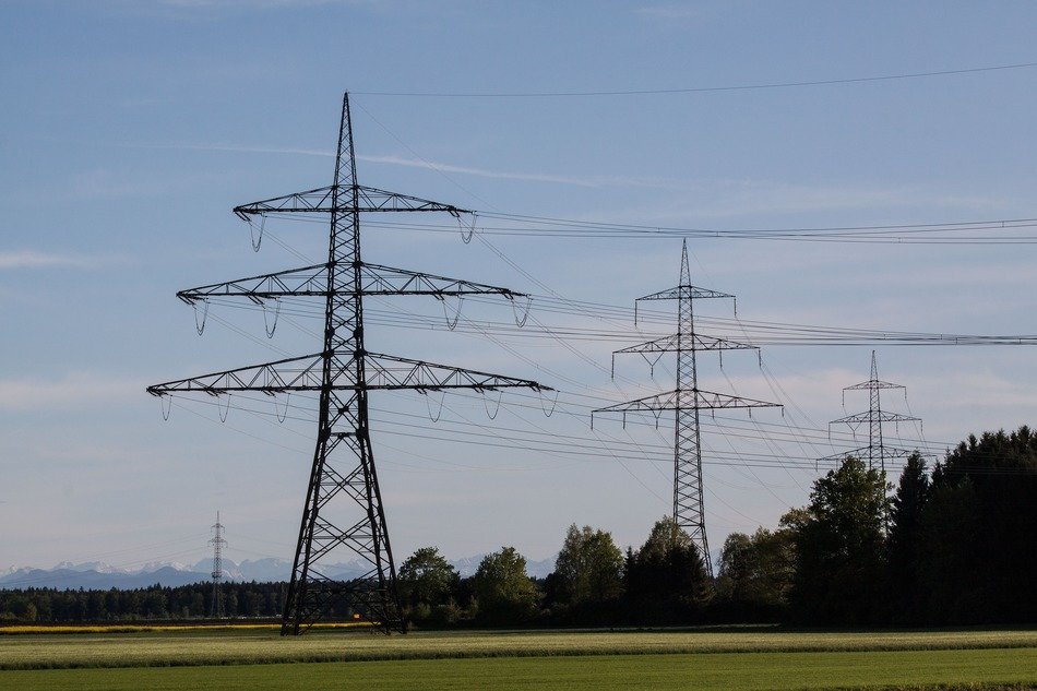 electric poles near the rapeseed field
