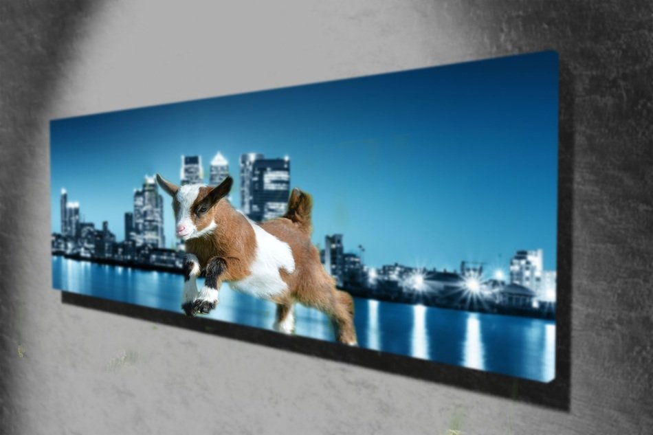 Picture of the landscape with the goat