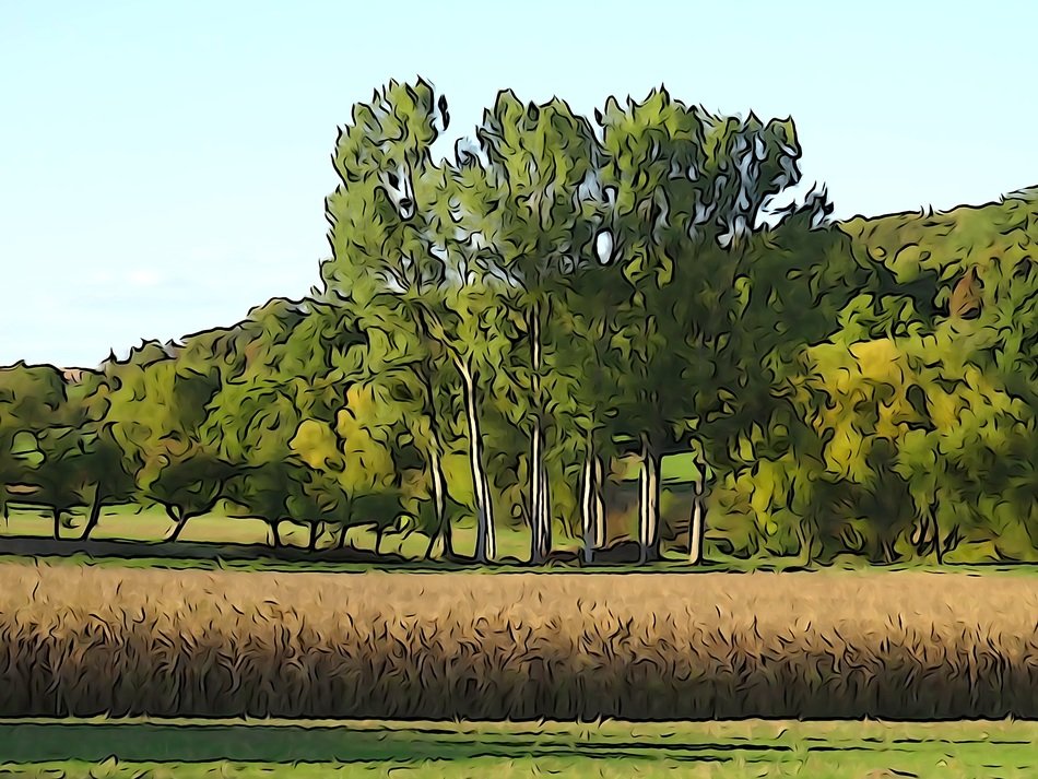 summer rural landscape in paint effect, digital art