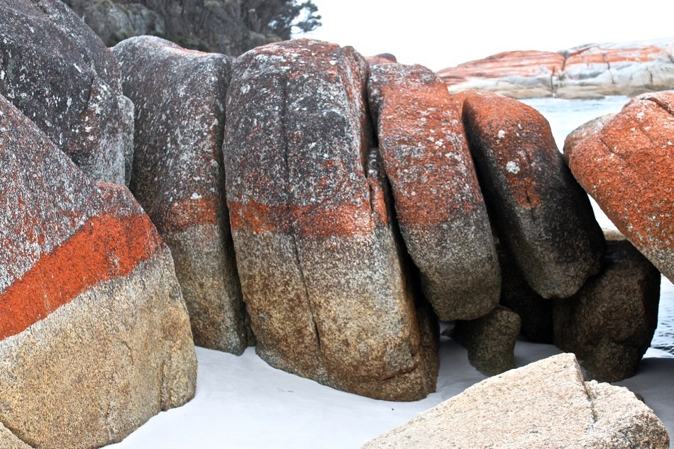 orange rocks on the coastline in Tasmania