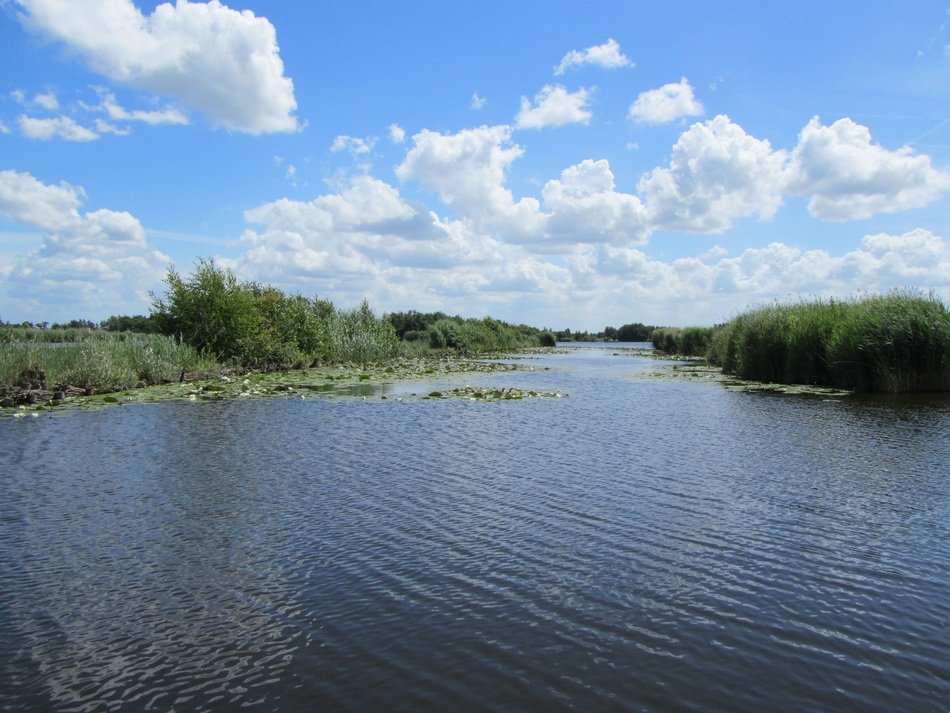 nieuwkoopseplassen lake