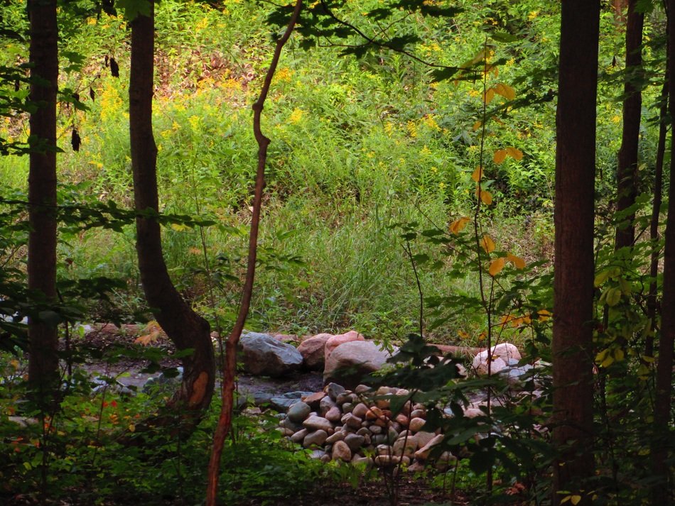 stones in the woods