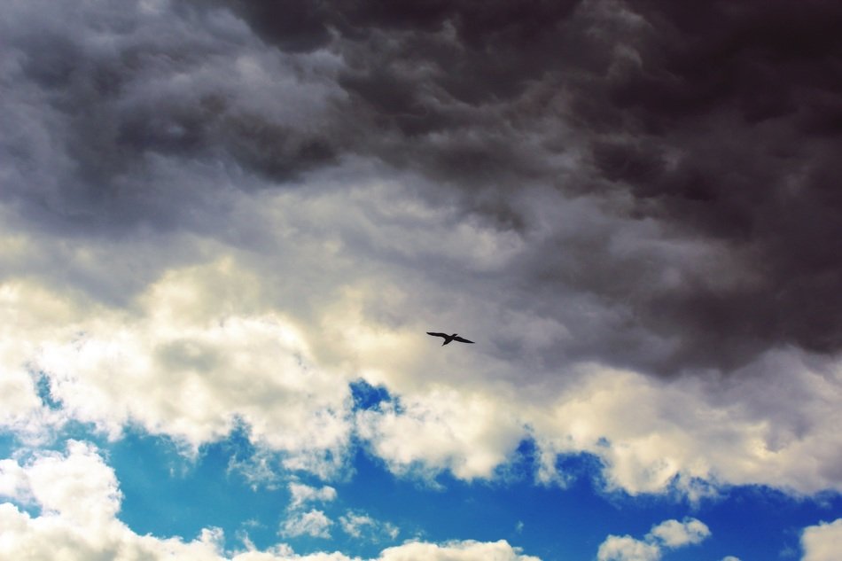 Blue sky covered with the clouds