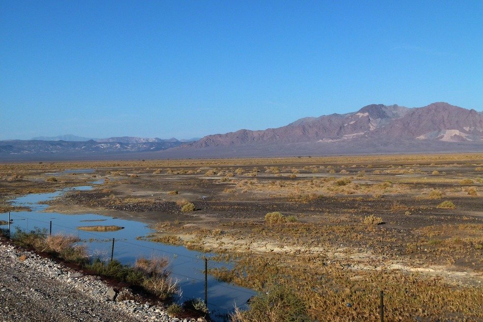 death valley to california after rain